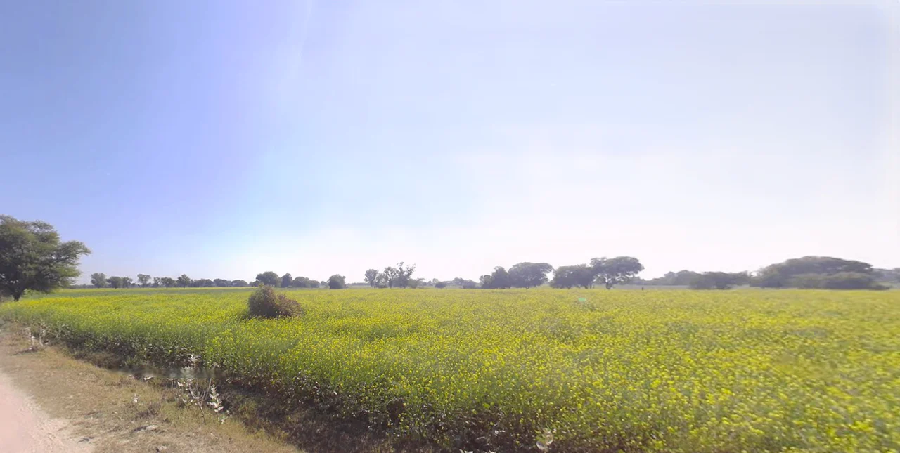 Churu, Rajasthan 331001, India preview 2