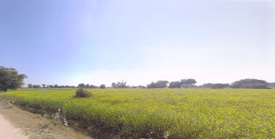 Churu, Rajasthan 331001, India preview 2