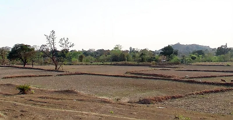 Kumjharia, Odisha 770039, India preview 3