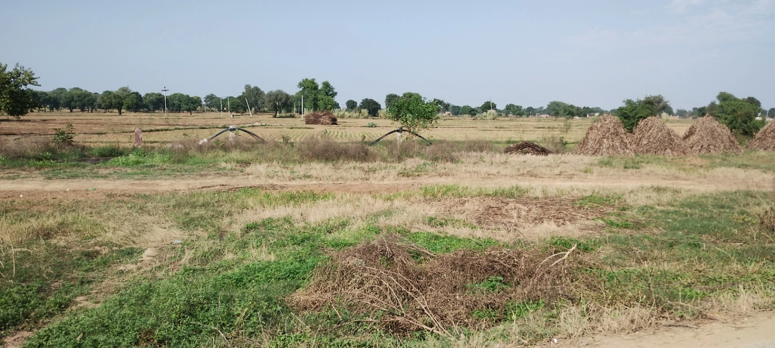 FWR6+JJ5, Gahankar, Rajasthan 301021, India