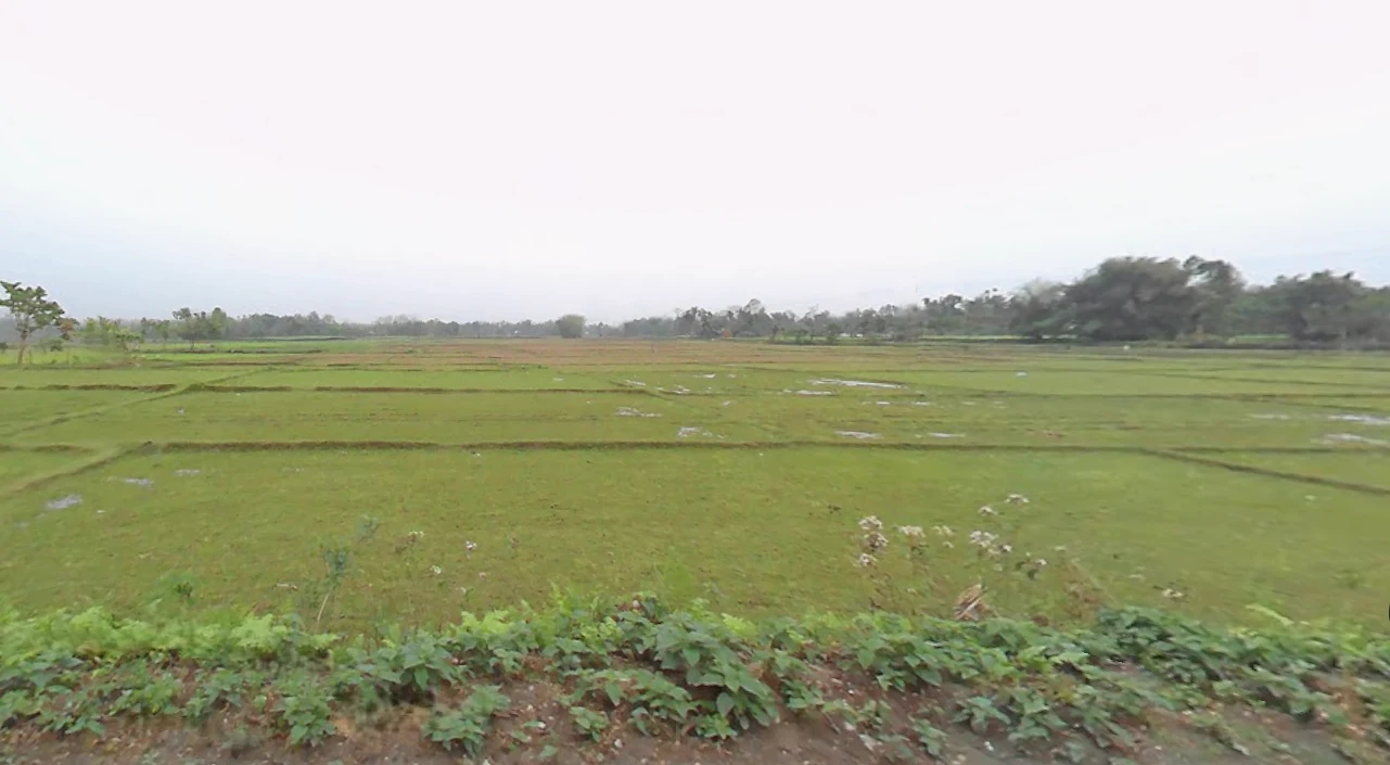 MQ77+P8R, NH 31, Dakshin Chak Maulani, Moulani, West Bengal 735302, India preview 3