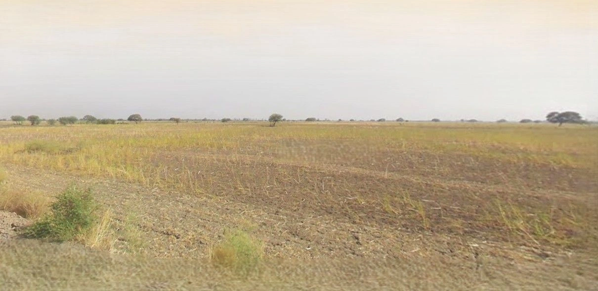 Nakur, Uttar Pradesh 247342, India