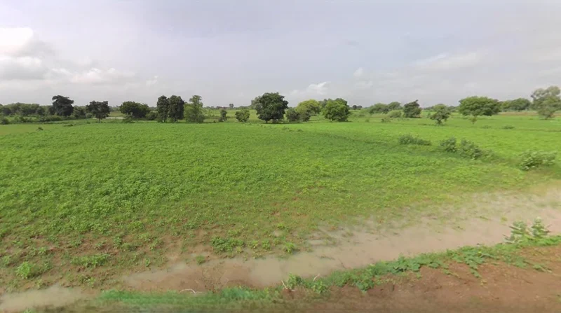 Kothi, Madhya Pradesh 485666, India preview 3