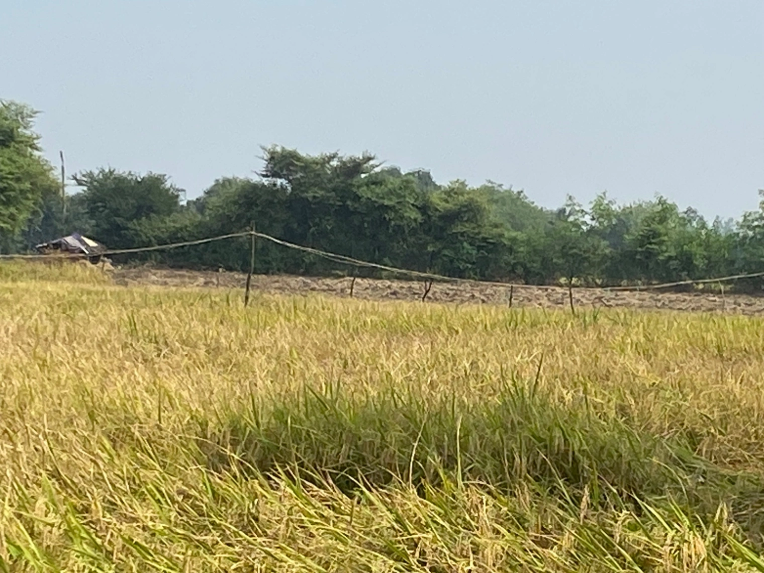 Narmadapuram, Madhya Pradesh, India
