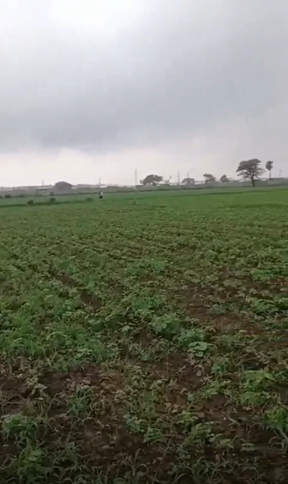 Lod, Ratlam, Madhya Pradesh 457118, India