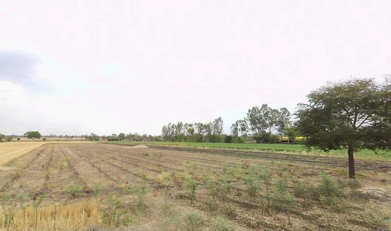 Chaundi, Madhya Pradesh 466001, India