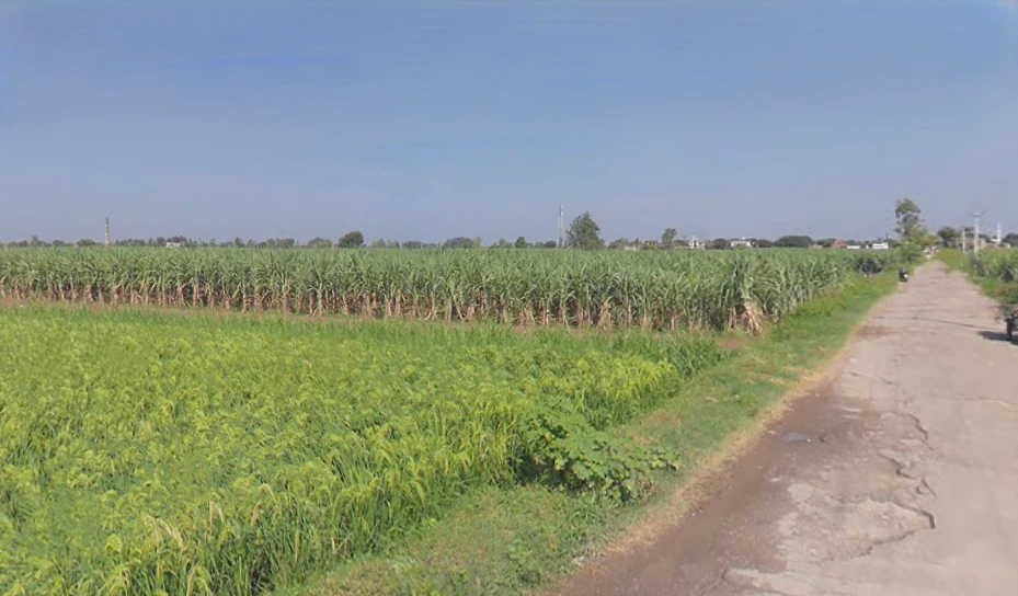 Garh Mukteshwar, Uttar Pradesh 245205, India