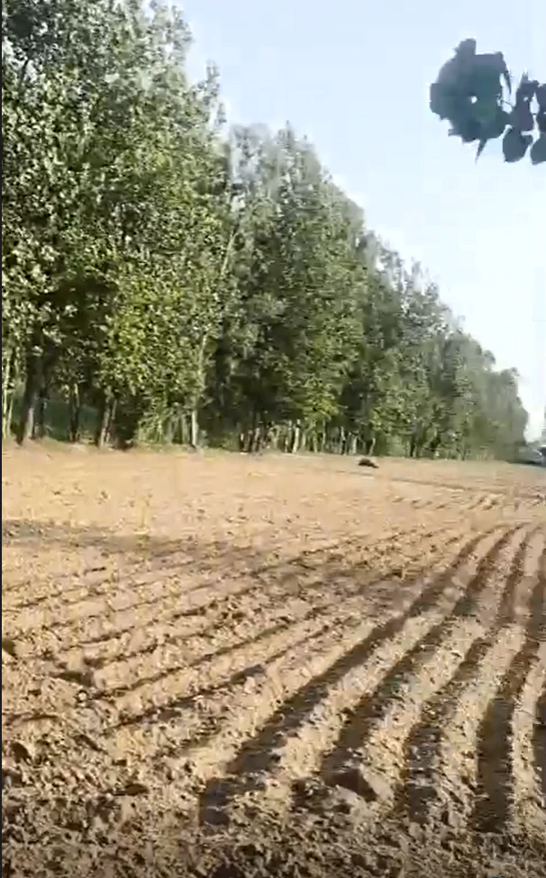 C5JF+99 Sachendi, Kanpur Nagar, Uttar Pradesh, India