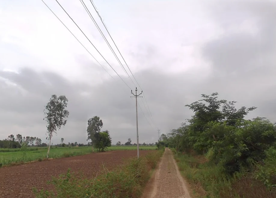 Sitarganj, Uttar Pradesh 243503, India