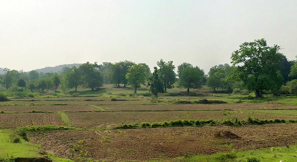 Kumjharia, Odisha 770039, India