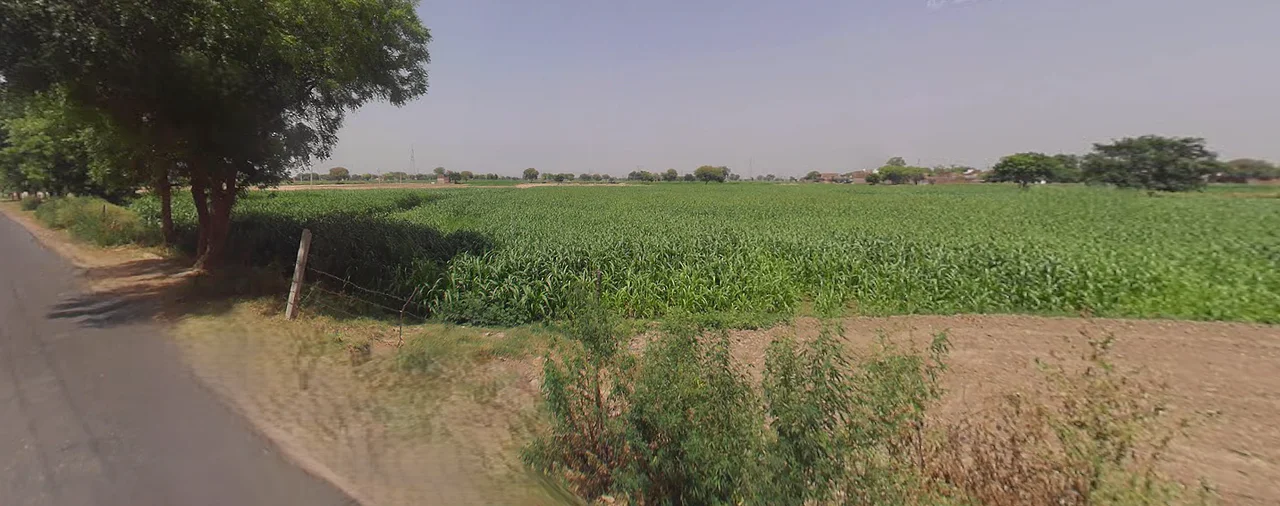 Salarpur, Haryana 125055, India preview 3