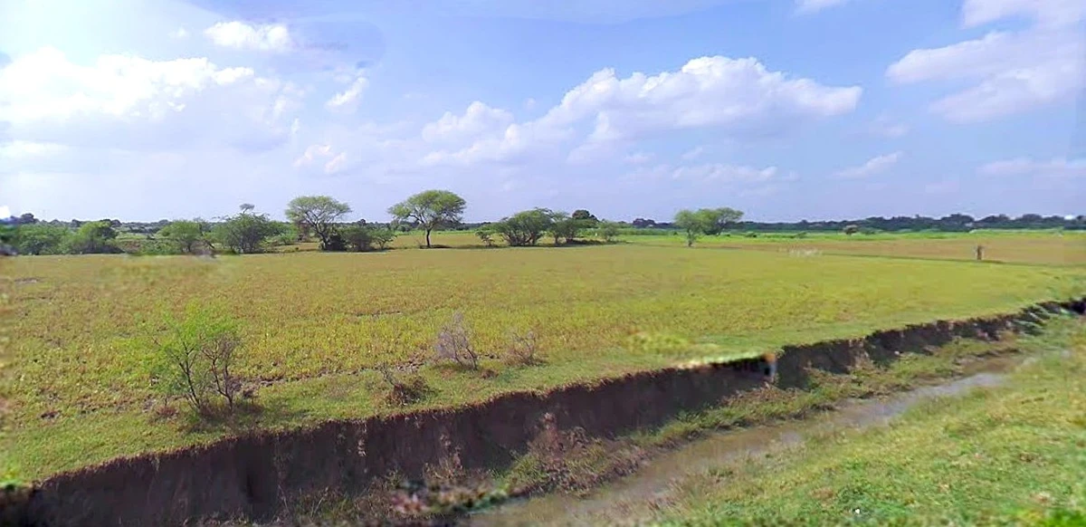 Bijnor, Uttar Pradesh 246701, India