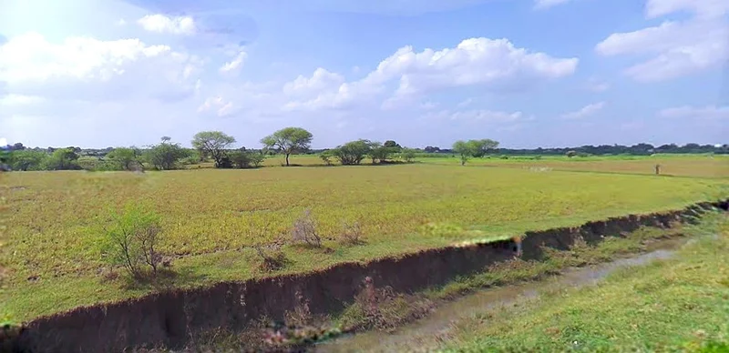 Bijnor, Uttar Pradesh 246701, India preview 2