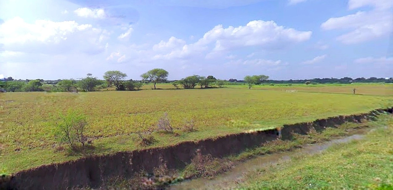 Bijnor, Uttar Pradesh 246701, India