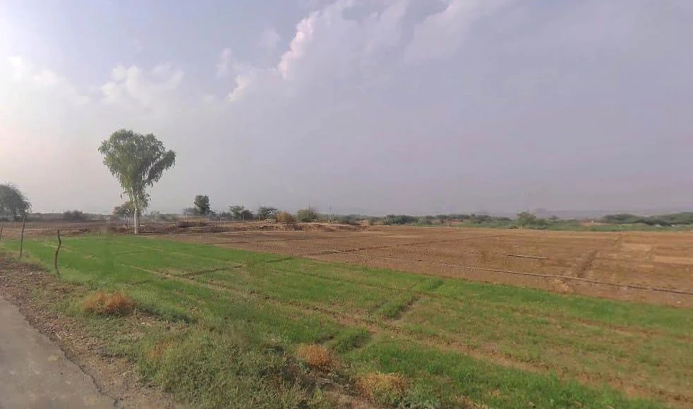 Badakhera, Rajasthan 323603, India