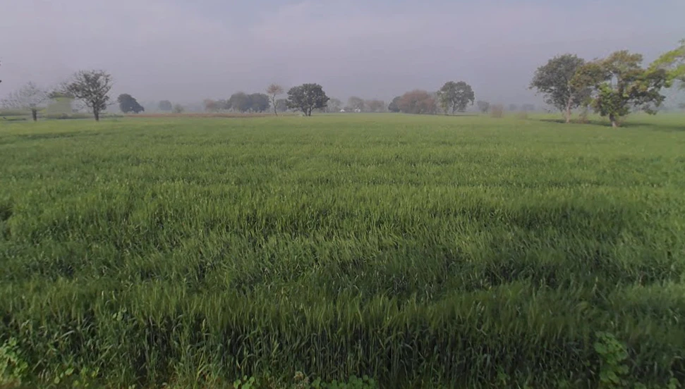 Sonipat, Haryana 131001, India