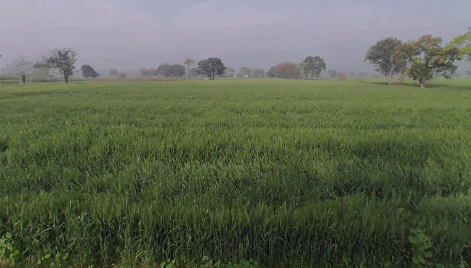 Sonipat, Haryana 131001, India