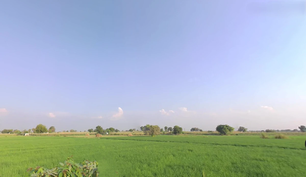Charkhi Dadri, Haryana 127306, India