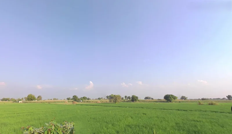 Charkhi Dadri, Haryana 127306, India preview 3