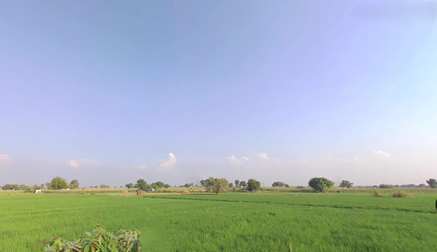 Charkhi Dadri, Haryana 127306, India