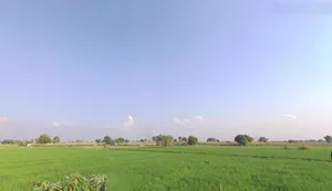 Charkhi Dadri, Haryana 127306, India preview 3