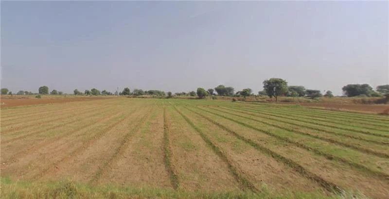 FC6W+GJ Sagdividi, Gujarat, India