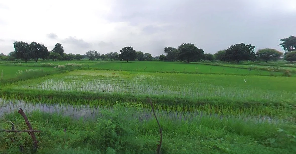 Hapur, Uttar Pradesh 245101, India