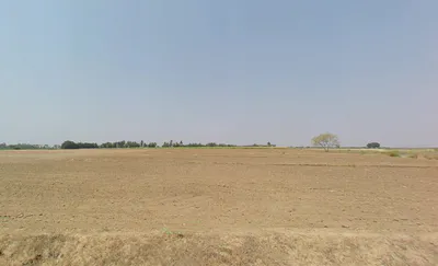 Roddam, Andhra Pradesh 515123, India preview 3