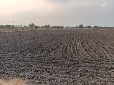Hiriyur, Karnataka, India preview 3