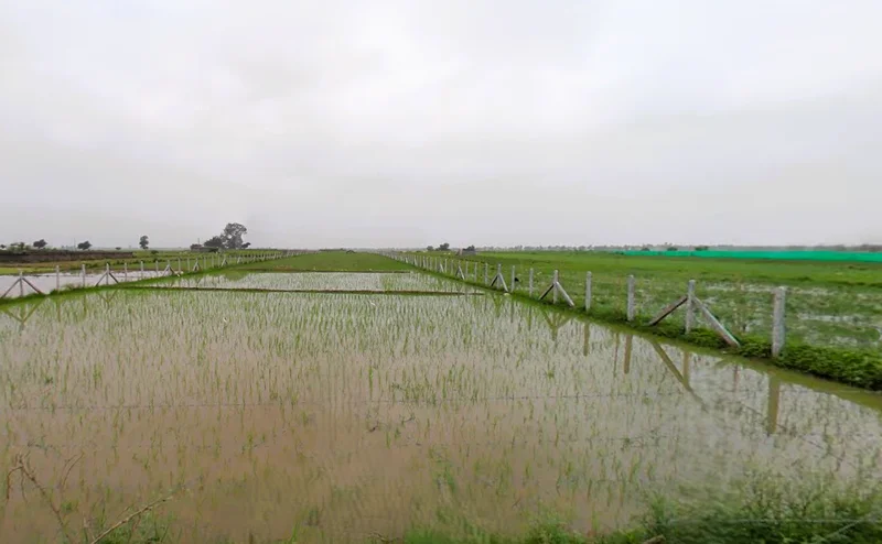 Shyampur, Uttarakhand 249408, India preview 2