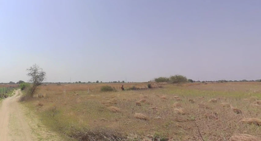 Chaksu, Rajasthan 303901, India