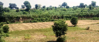 Ghanauli, Punjab 140113, India preview 3