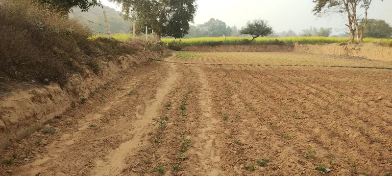 Seu, Rajasthan, India preview 4