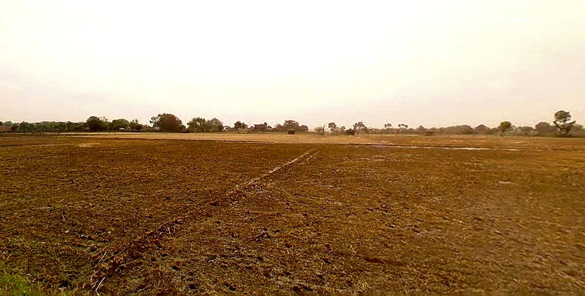 Jewar, Uttar Pradesh 203135, India