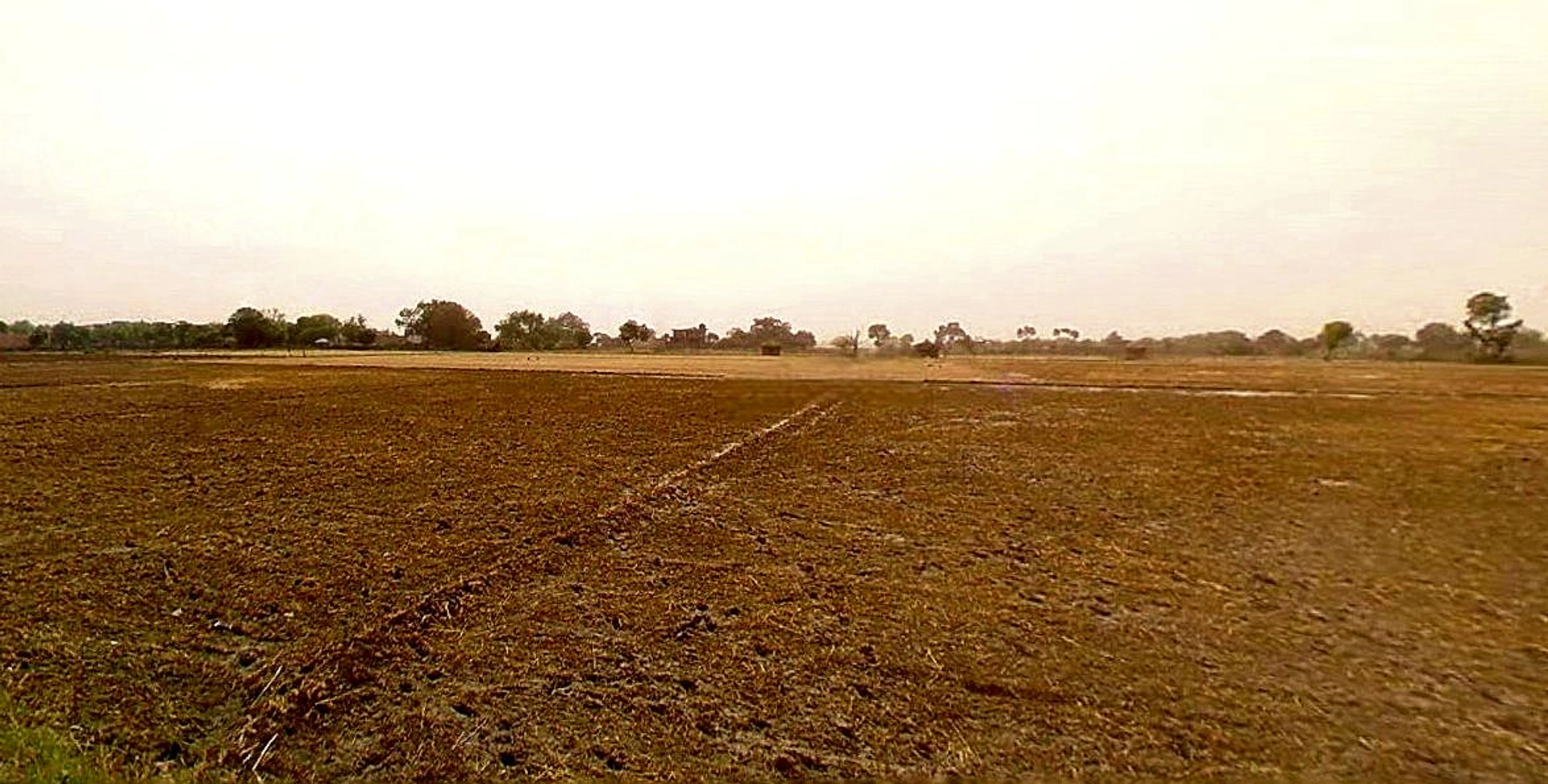 Jewar, Uttar Pradesh 203135, India