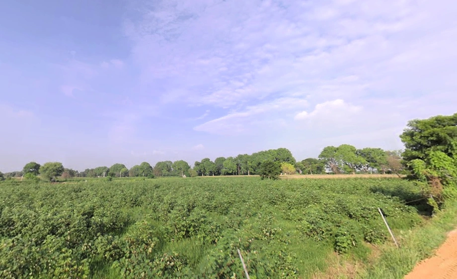 Siwani, Haryana 127046, India