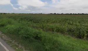 6W66+X5 Lakshmi Nagar Camp, Karnataka, India preview 2