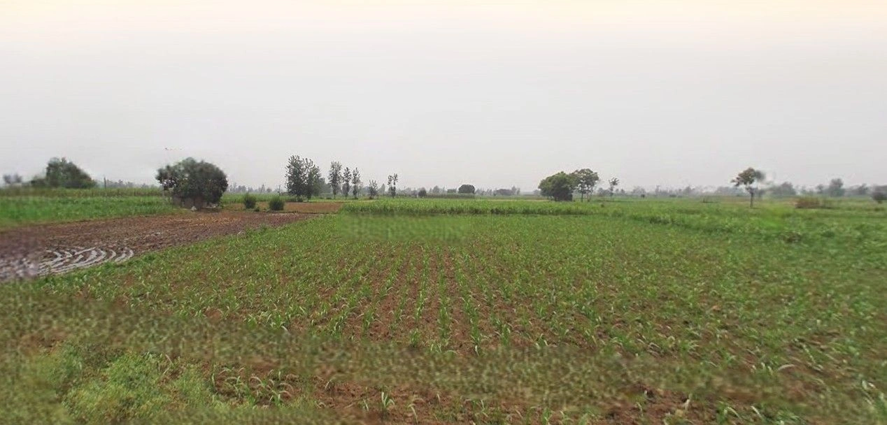 Lalganj, Uttar Pradesh 229206, India