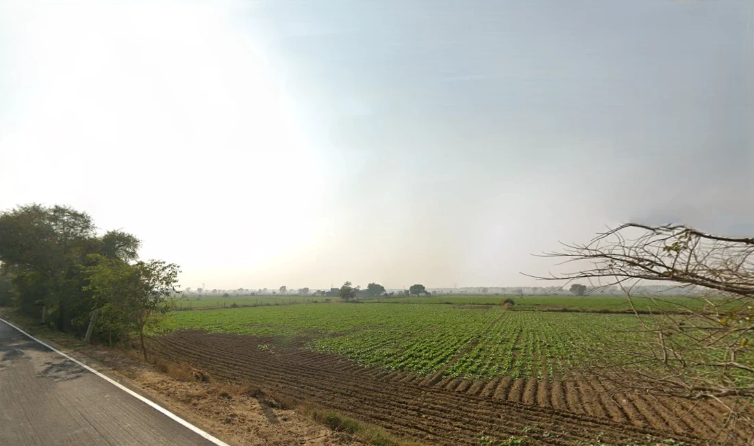 Baliyali, Haryana 127032, India