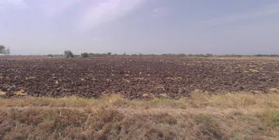 Mukhed, Maharashtra 431715, India preview 3