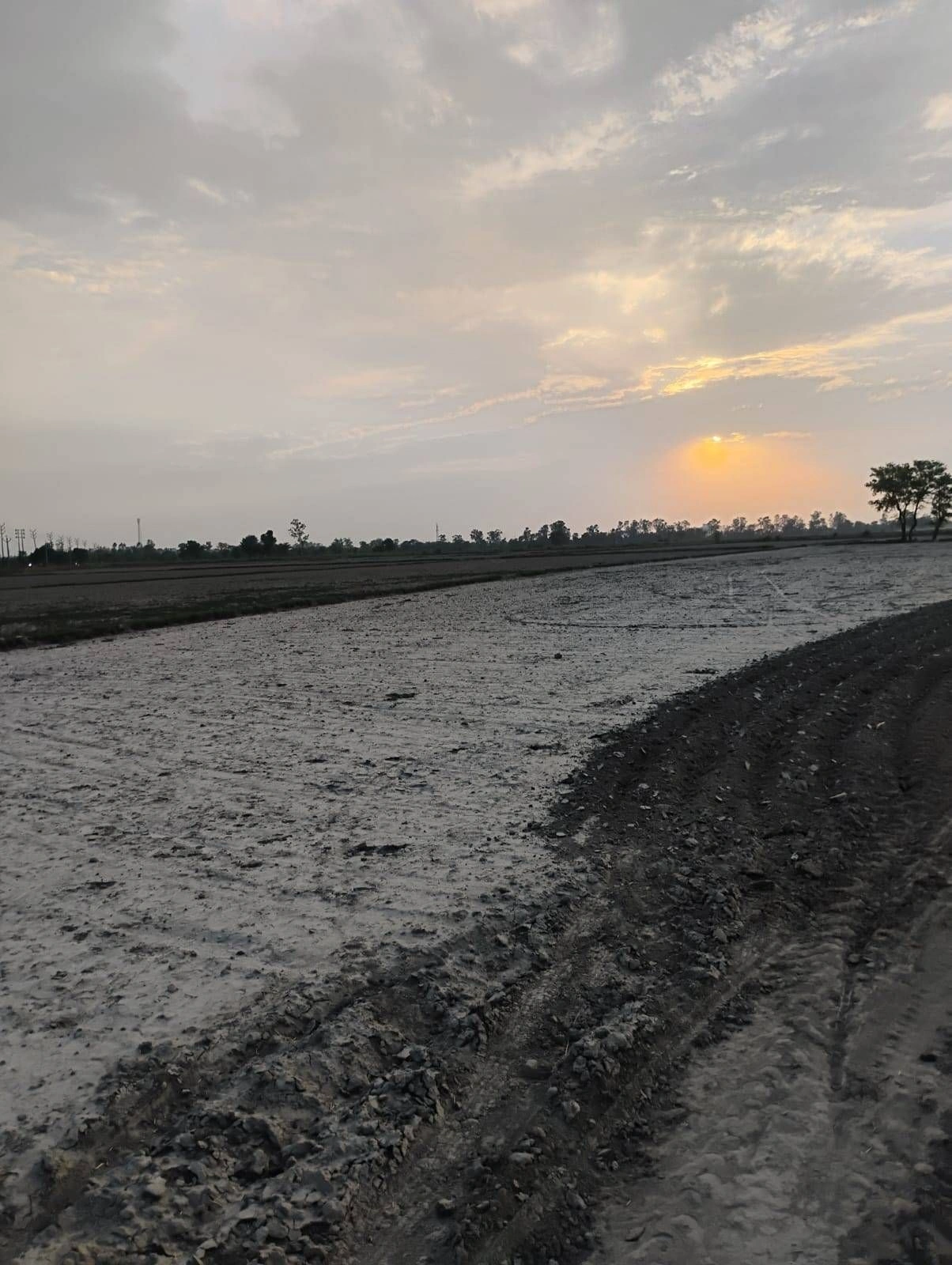 Bishambhara, Uttar Pradesh 281404, India