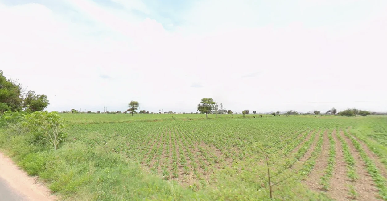 Madgul, Telangana, India