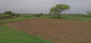 Sri Ganganagar, Rajasthan, India preview 3
