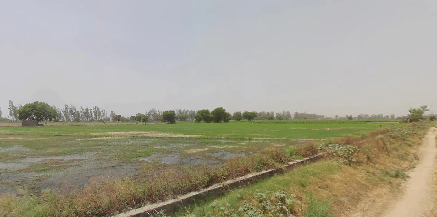 Sector 26A, Jind Byp, Jind, Teg Bahadurpur, Haryana 126102, India