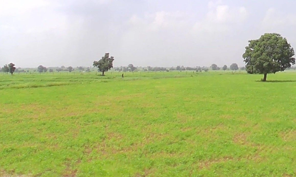 Bina, Madhya Pradesh 470113, India preview 3