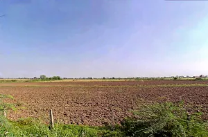 48Q2+6M8, Dharmpur, Uttar Pradesh 203393, India preview 2