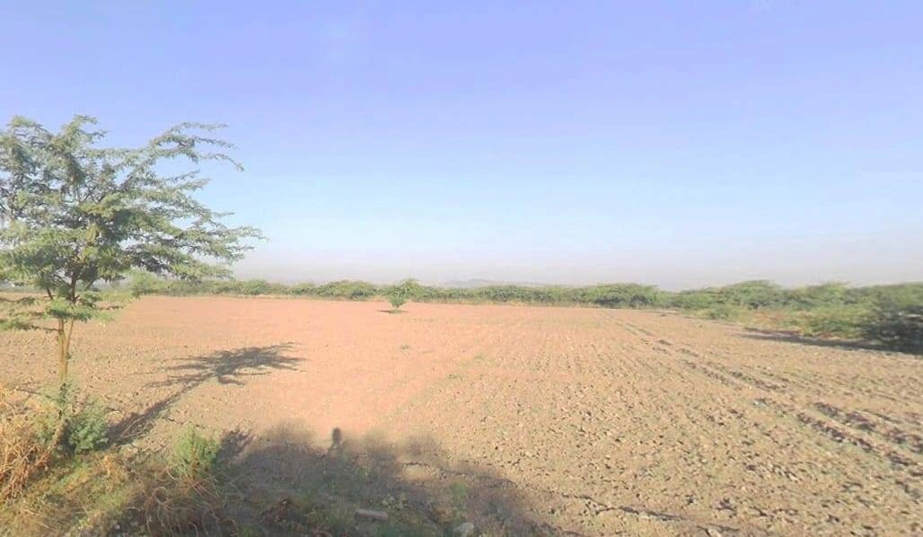 Pali, Rajasthan 306401, India