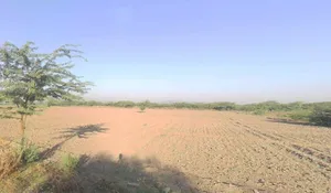 Pali, Rajasthan 306401, India preview 3