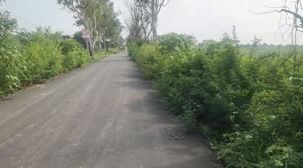 Gailpur, Palwal, Haryana 121102, India