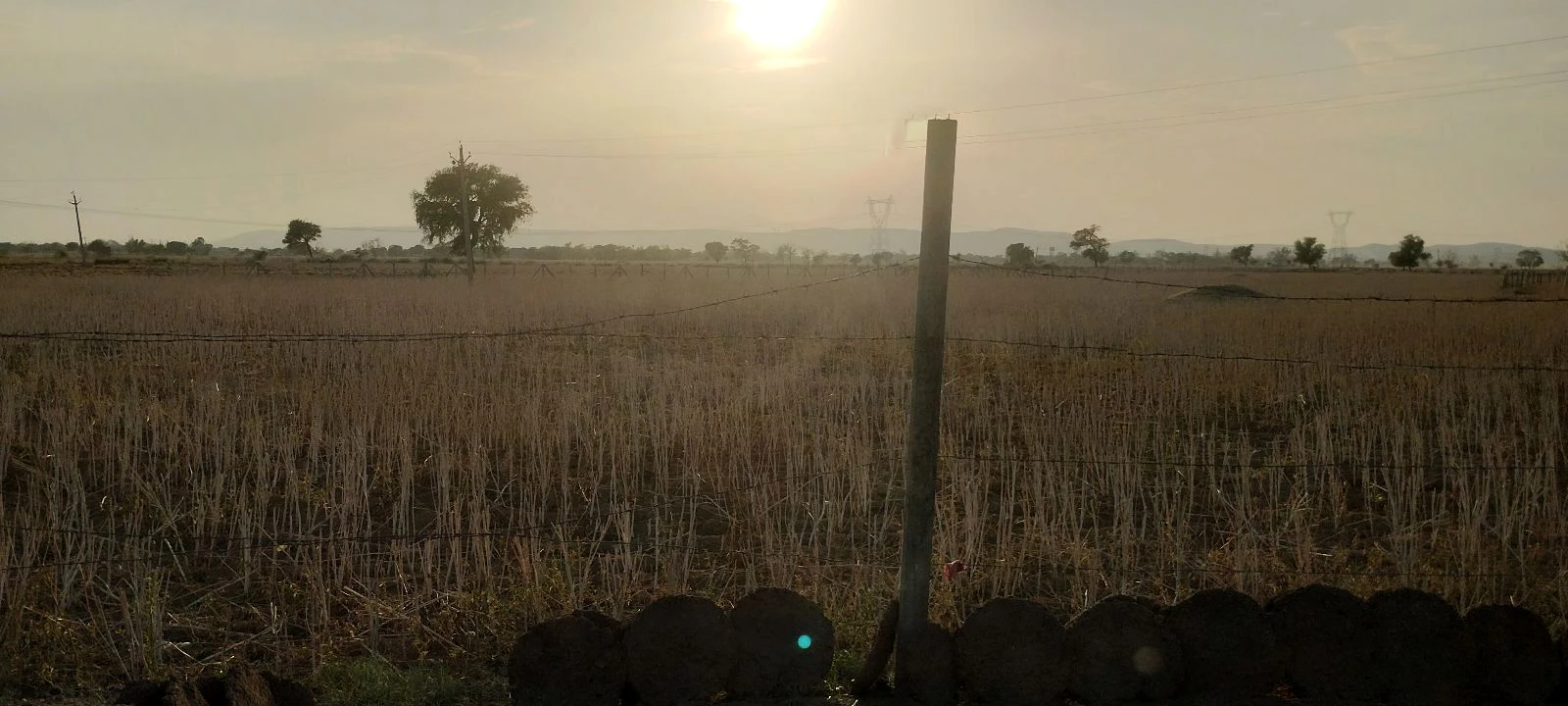 Kherli Veeran, Rajasthan 301021, India